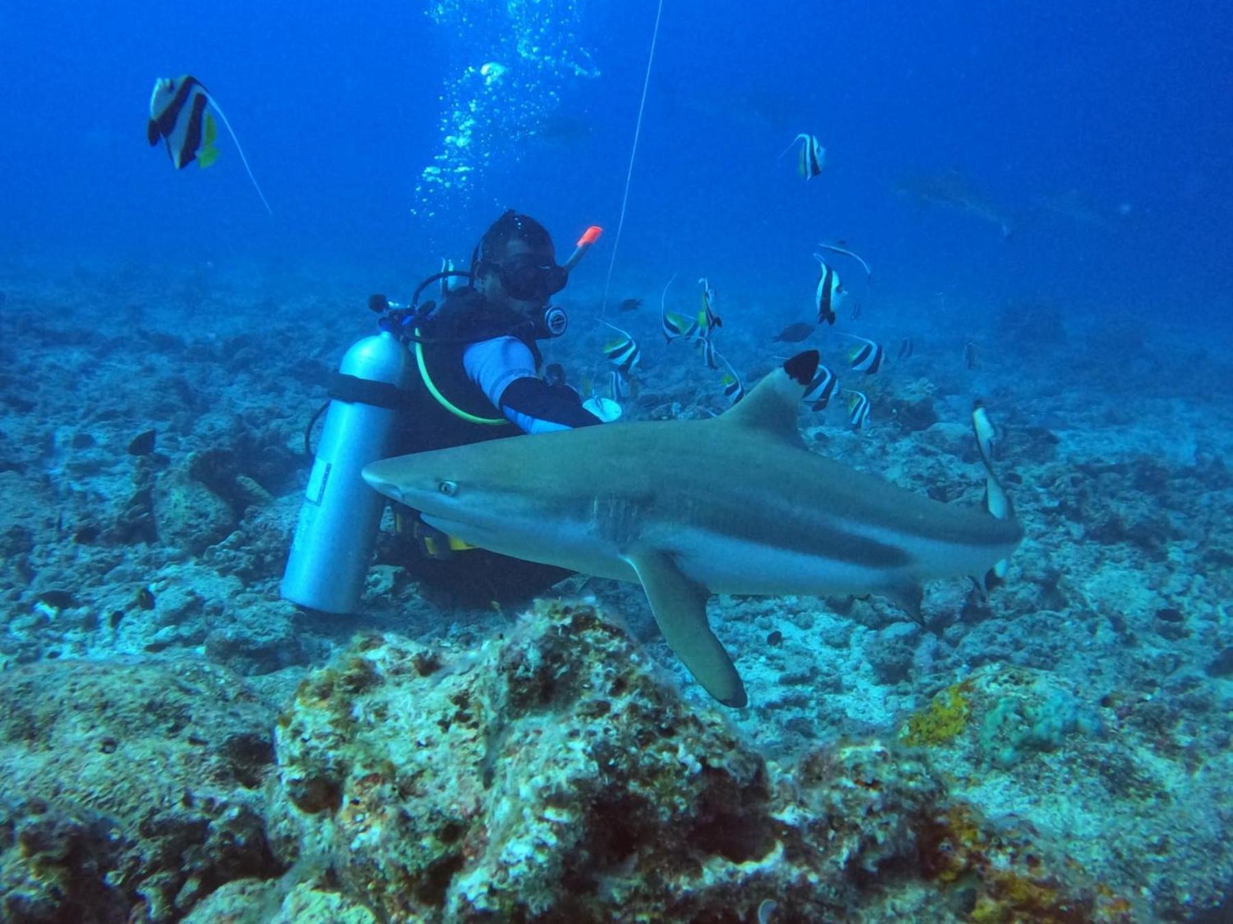 Ratu Kini Dive & Stay جزيرة مانا المظهر الخارجي الصورة